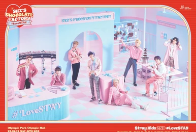 Stray Kids 2nd #LoveSTAY 