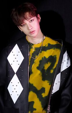 SKZ2020 (best album)/Gallery | Stray Kids Wiki | Fandom