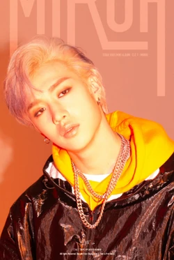 Clé 1 : MIROH/Gallery | Stray Kids Wiki | Fandom
