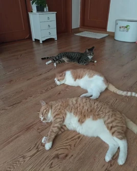 SoonDoongDo IG 230808