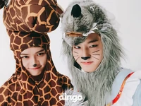 @dingo_official Oct. 28, 2018