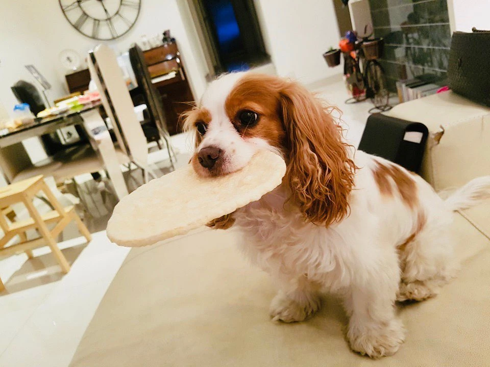 Berry Stray Kids Wiki Fandom