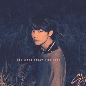 I Am You Mini Album Gallery Stray Kids Wiki Fandom