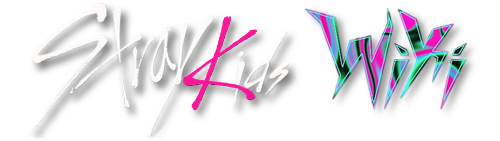 SKZ2021 (best album) | Stray Kids Wiki | Fandom