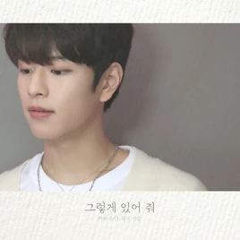 Stay as You Are SKZ-RECORD Cover