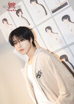 HAN D-1