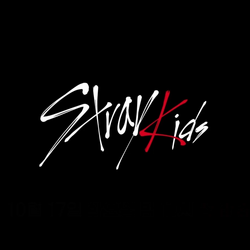 Stray Kids estrena cuentas individuales en Instagram para aniversario STAY