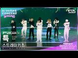 Stray Kids/Fancams