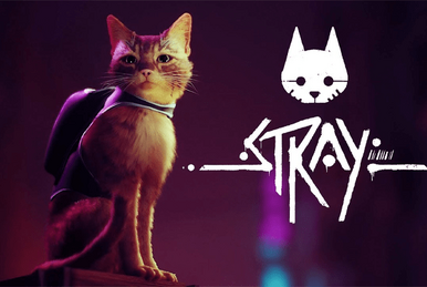 Stray: jogo já está disponível para PC, PS4 e PS5!