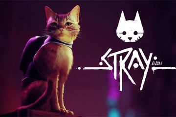 Explore the World of Stray with the Perfect Gaming Display