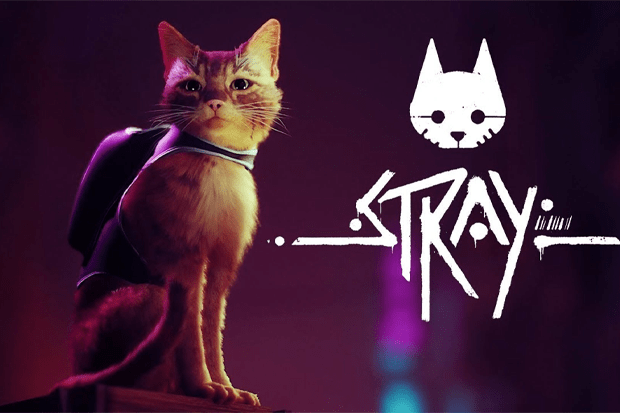 Stray, Jogo PS4