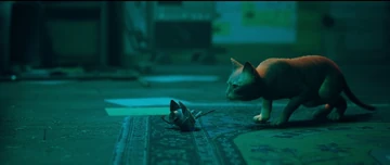 B-12 Flat | Stray Wiki | Fandom