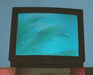 "What? The tv is off? I can still hear this static noise... Am I just defective? Sigh."