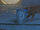 Cat and bucket.png
