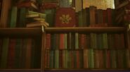 Gravity falls book in situ