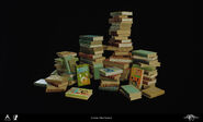 Stray books by Clara Perrissol