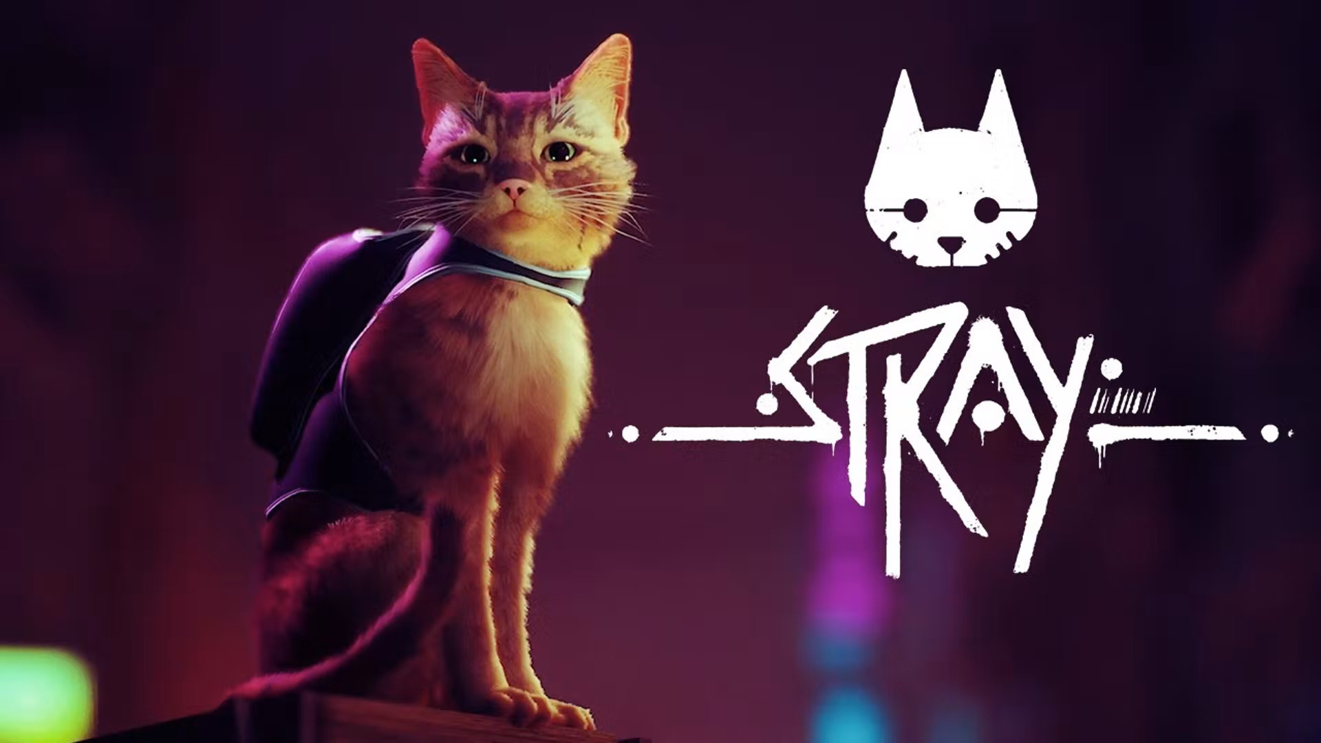 Stray | Stray вики | Fandom