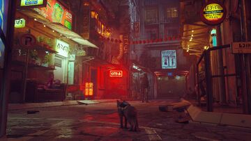 Stray' Video Game Shows Man's (Other) Best Friend in a New Light