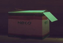 neco ページ nEco!Drive!🐟🦝 (@cx5titaozi) / Posts / X