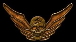 Shadaloo Insygnia.jpg