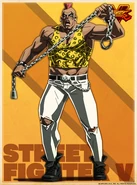 Shadaloo C.R.I. profile artwork.