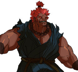 Akuma/Gallery, Street Fighter Wiki, Fandom