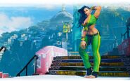 Hillside Plaza in Laura's Champion Edition character artwork.