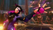 Sfv-juri-july2016