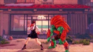 Sakura's Shunpukyaku while Sakura Senpu is active.