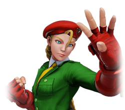 Wondering what you people like/dislike about every cammy design