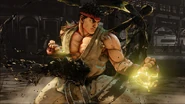 RyuVTrigger.jpg (171 KB) Ryu's V-Trigger I - Denjin Renki