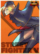 Falke Artwork