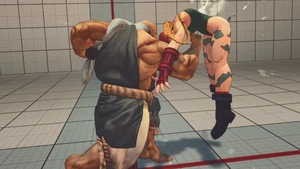 Gouken punching Cammy in the midsection during Shin Shoryuken.