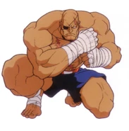 SFII-Sagat-2.png (331 KB) Super Street Fighter II art