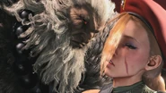 Akuma defeating Cammy