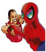 Capcom Secret File Artwork