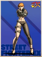 Shadaloo C.R.I. profile artwork