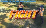 Hokuto Vs Blair in Fighting Sample.
