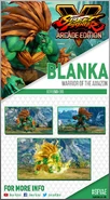 BlankaCard.jpg (204 KB)