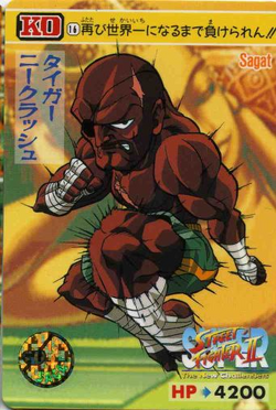 Ryu Street Fighter 2 Carddass Masters ALL CAPCOM WORLD Card