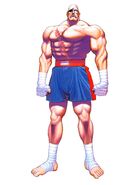 Sagat in Super Street Fighter II.