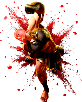 Street Fighter × All Capcom, Street Fighter Wiki