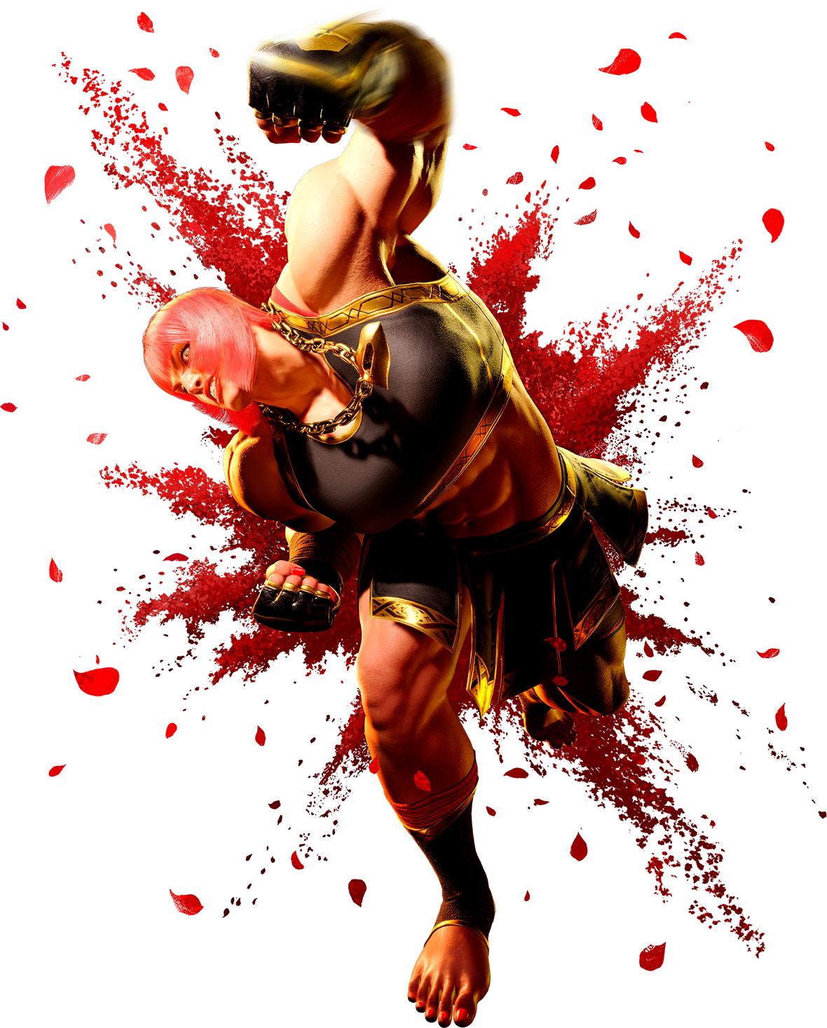 Alternate Costumes/Street Fighter IV series, Street Fighter Wiki