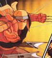 Image of Enjo,Image of Enjo, the former Geki ninja who defected from the clan, took Ibuki away when she was an infant and founded the Glade of Ninjas (UDON comics only).