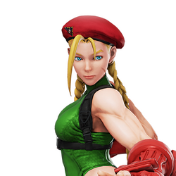 Category Characters Street Fighter Wiki Fandom