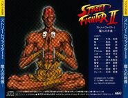 Street Fighter II Portrait of the Magician: art by Urushihara Satoshi.