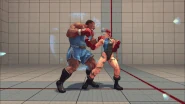 Crazy Buffalo against Cammy in Street Fighter IV. (Punches)