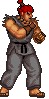 Akumasf1.gif
