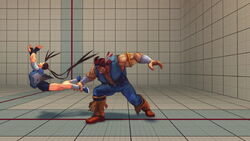 Raging Slash | Street Fighter Wiki | Fandom