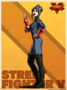Shadaloo C.R.I. profile artwork.